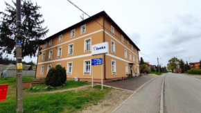 BELWEDER 12, Krzewiny